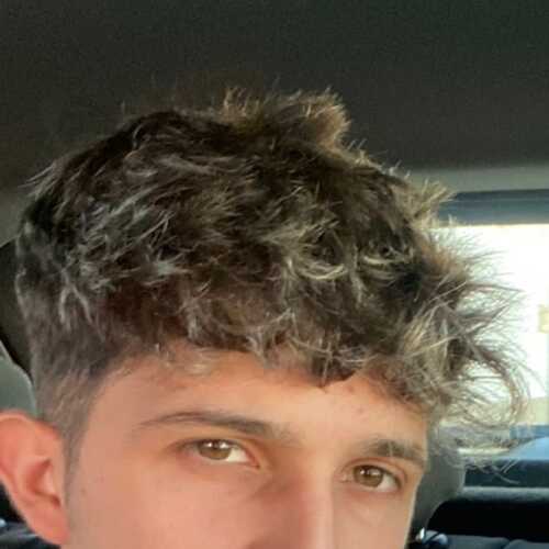 pollagorda 77