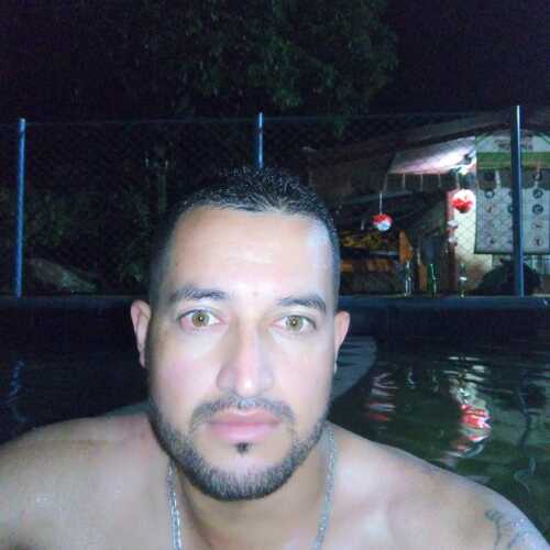 willisan