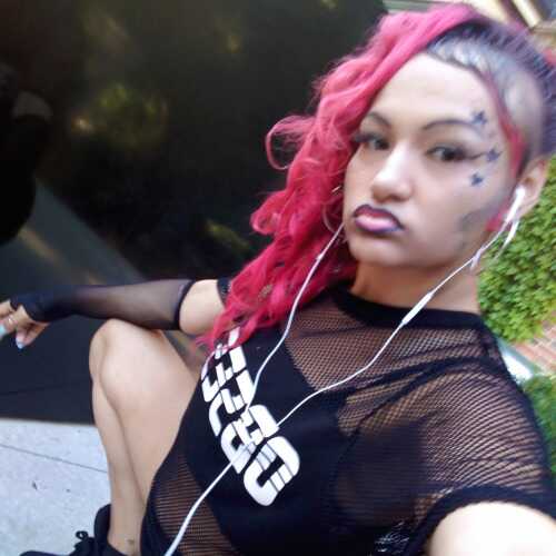 finessbullh139