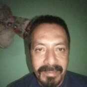 gelo25