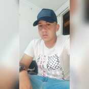 estivenarbol373