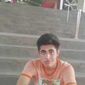 ALAand26