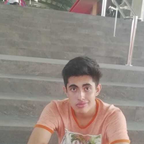 ALAand26
