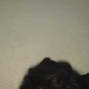 Sarge2003