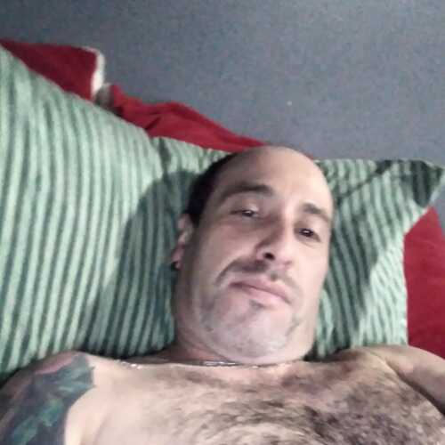 rodrigomaldon533