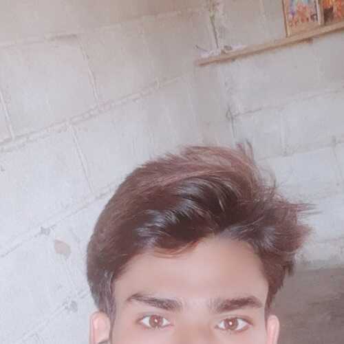 aliansh030