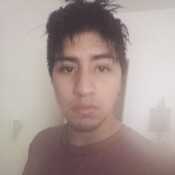 naumeeicgcemancff