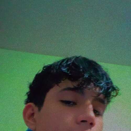 andresalexanderlandi402