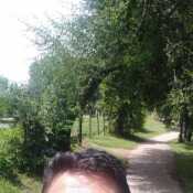 robertoadri945