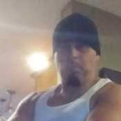 iwantadieseltr433