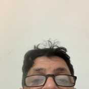 tatoperromalo