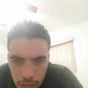 aleaco604