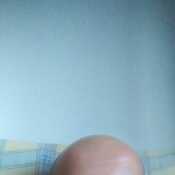 raulferre064