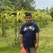 Junjun