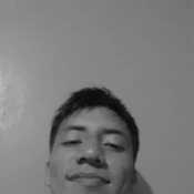 bryanpalmadema255