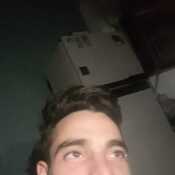 Damy
