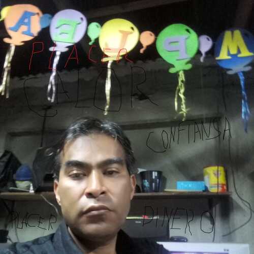 irvimed238