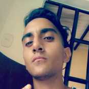 Perdo21