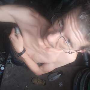 tedditaint227