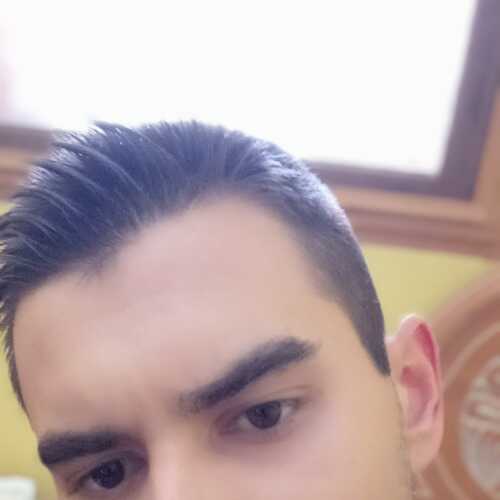 luisfenollal954