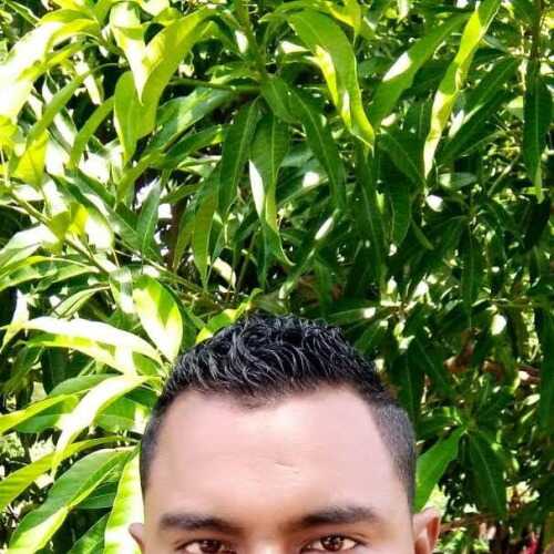 NestorMaicao