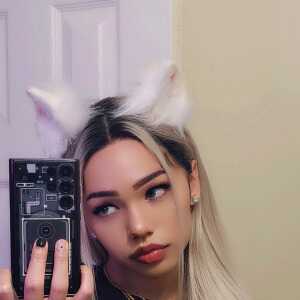 SincereSuperherodhcfea