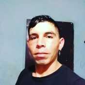 maximilianool663