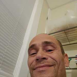 gdeebbffbfjgedgh