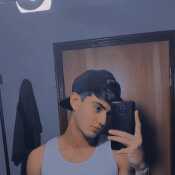 ferdi9334