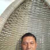 Roed
