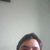 Fedes613