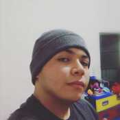 Guslat331
