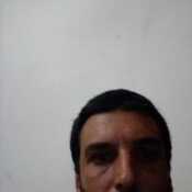 polol523