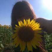 girasolamarilloo