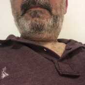 Mostaza01