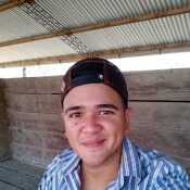 marcelofret338
