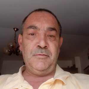 Laureanodel480
