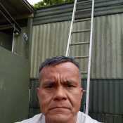 Hay you