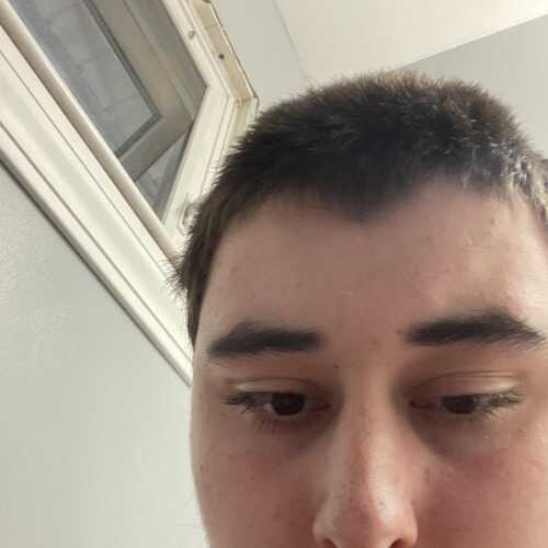 jamessteinb162