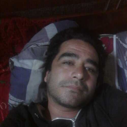 luisli256
