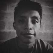 alejois