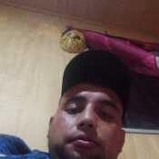 palotaresf599