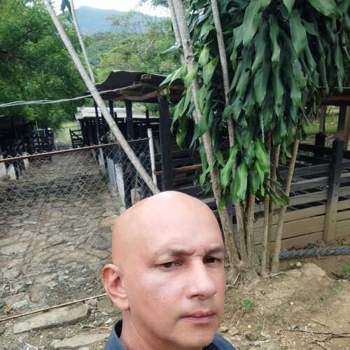 Hernan867