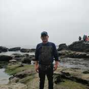Sander