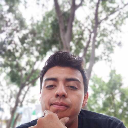 Pollo 