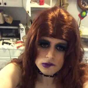 cambrycocklover