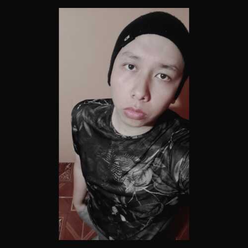 elf333