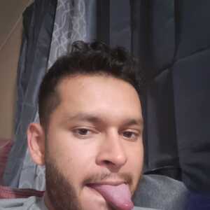 wilmerperd595
