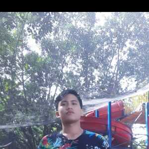adonisso260