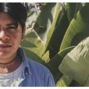 Ricardo-RB